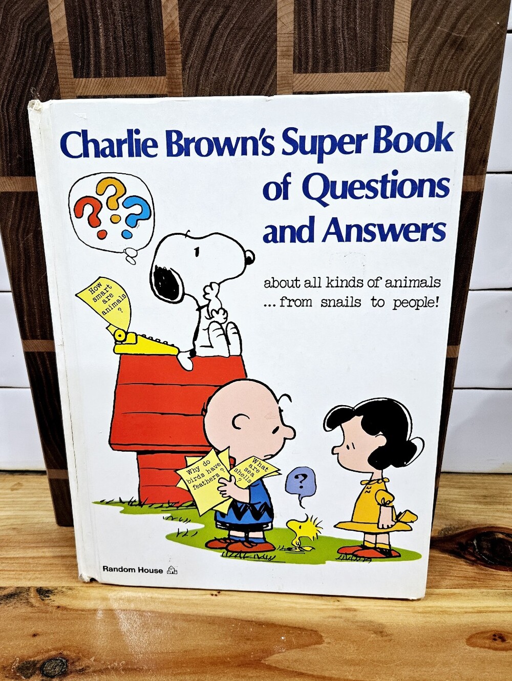 Vintage 1976 Peanuts Snoopy Charles Shultz Super Book Of Questions & Answers